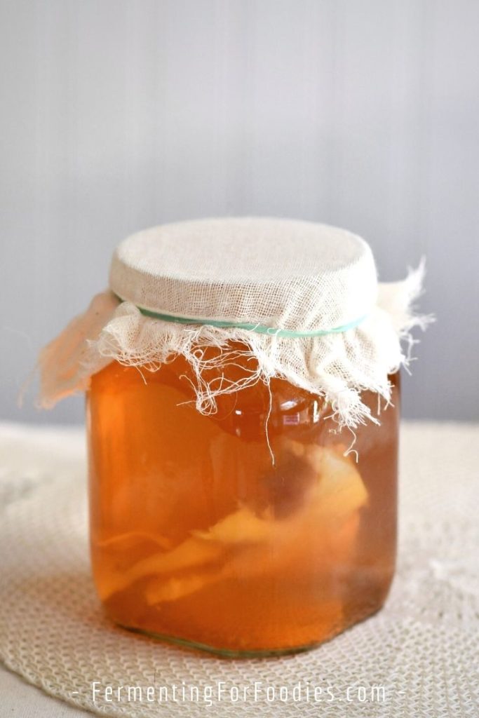 Kombucha brewing in a jar covered with cheesecloth