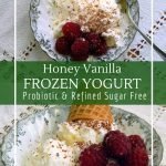 Frozen yogurt with only 3 ingredients! Simple and delicious