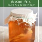Homemade kombucha for a healthy probiotic pop