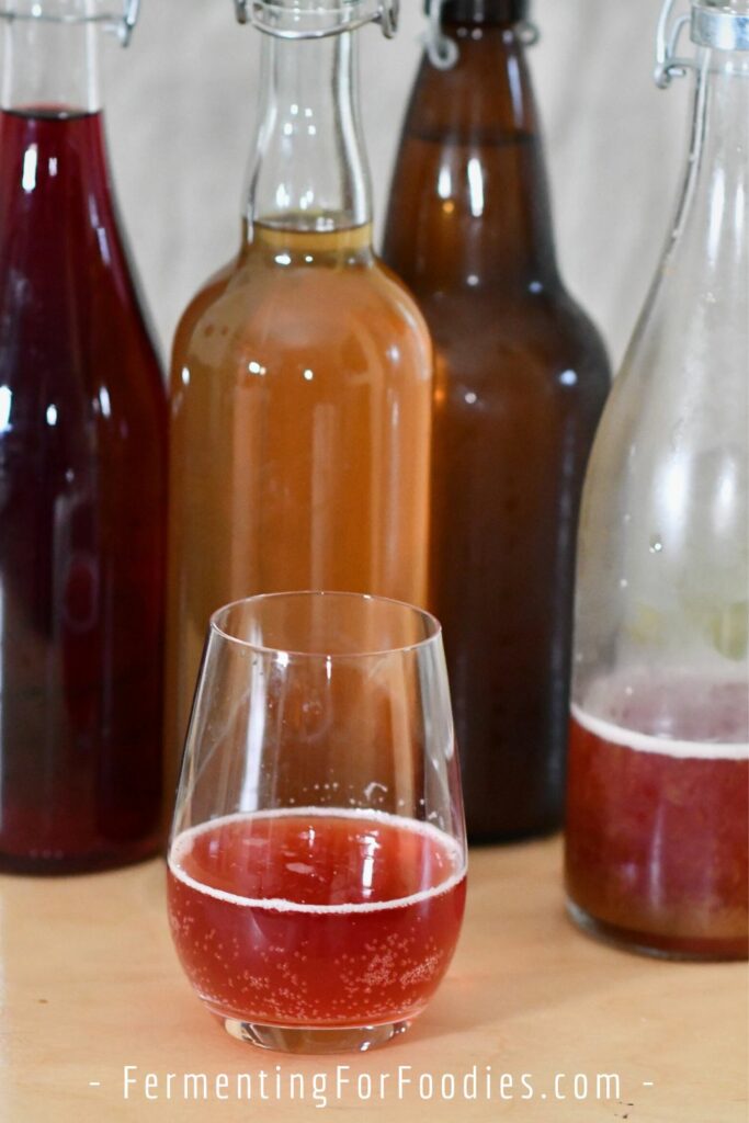 Fruit juice cider, beer, perry, and blueberry wine.