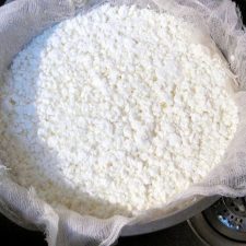 Simple Homemade Cottage Cheese Fermenting For Foodies
