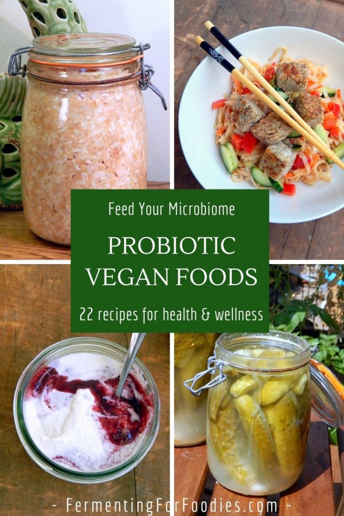 Fermented and probiotic vegan foods for gut health and wellness