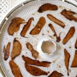 How to make SCOBY snacks in the dehydrator.