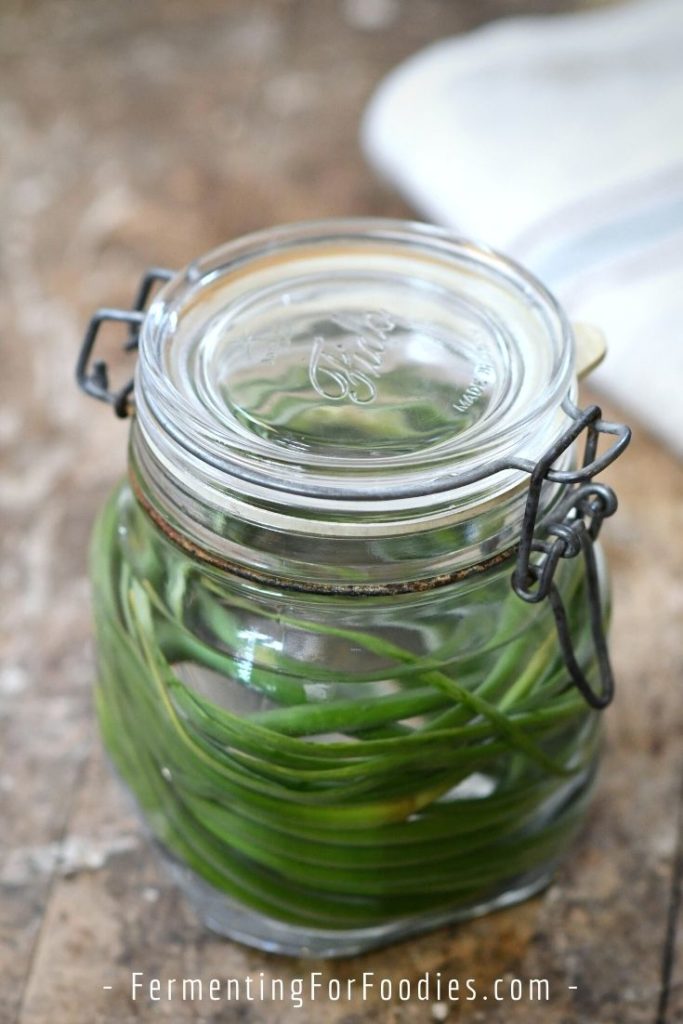 Jar of pickled garlic scapes