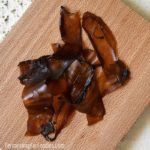 Maple jerky kombucha SCOBY snacks
