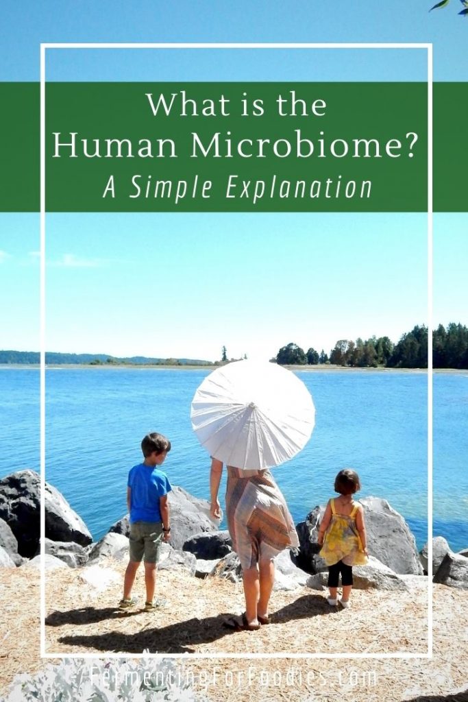 Why the human microbiome matters for health and wellness