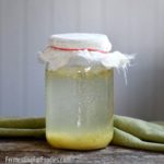 How to use ginger bug to brew probiotic soda pop