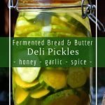 Fermented honey garlic pickles are perfect for sandwiches, barbecues and snacking with cheese