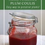 How to make a honey fermented plum sauce to preserve plums