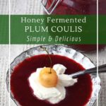 How to make honey fermented plum coulis for a probiotic and delicious treat