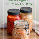 What to do when there is no fermentation