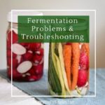 Fermentation problems and troubleshooting