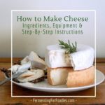 Everything you need to know about how to make cheese