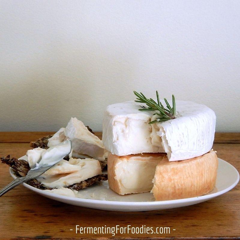 A step-by-step guide to making cheese