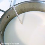 Cheesemaking 101 - Inoculating milk and setting the curd