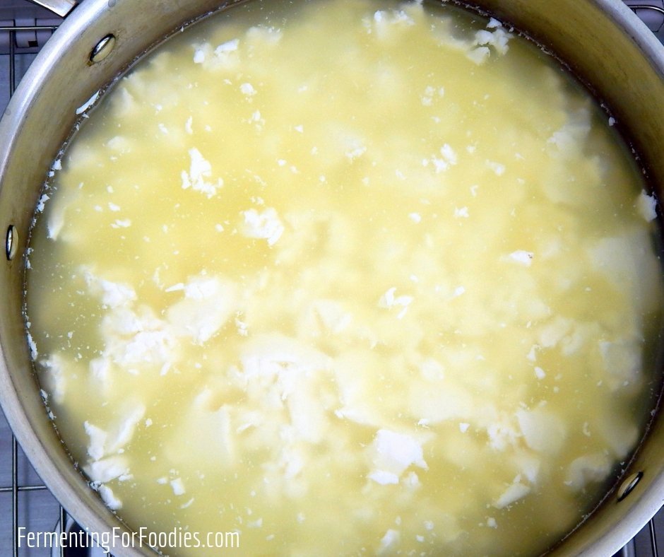 Everything you need to know about preparing cheese curds for homemade cheese