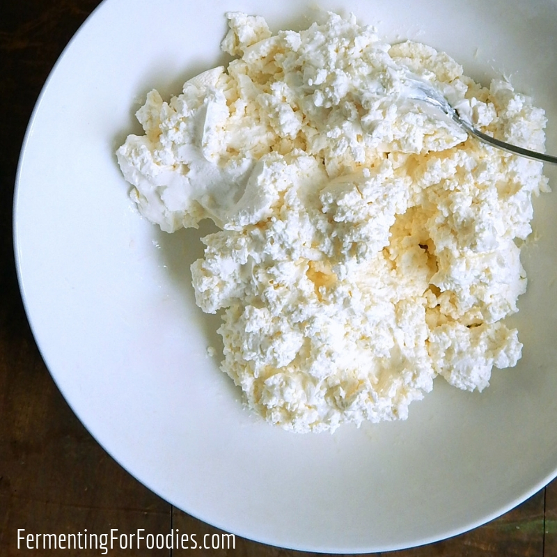 Homemade Fresh Cheese Fermenting For Foodies