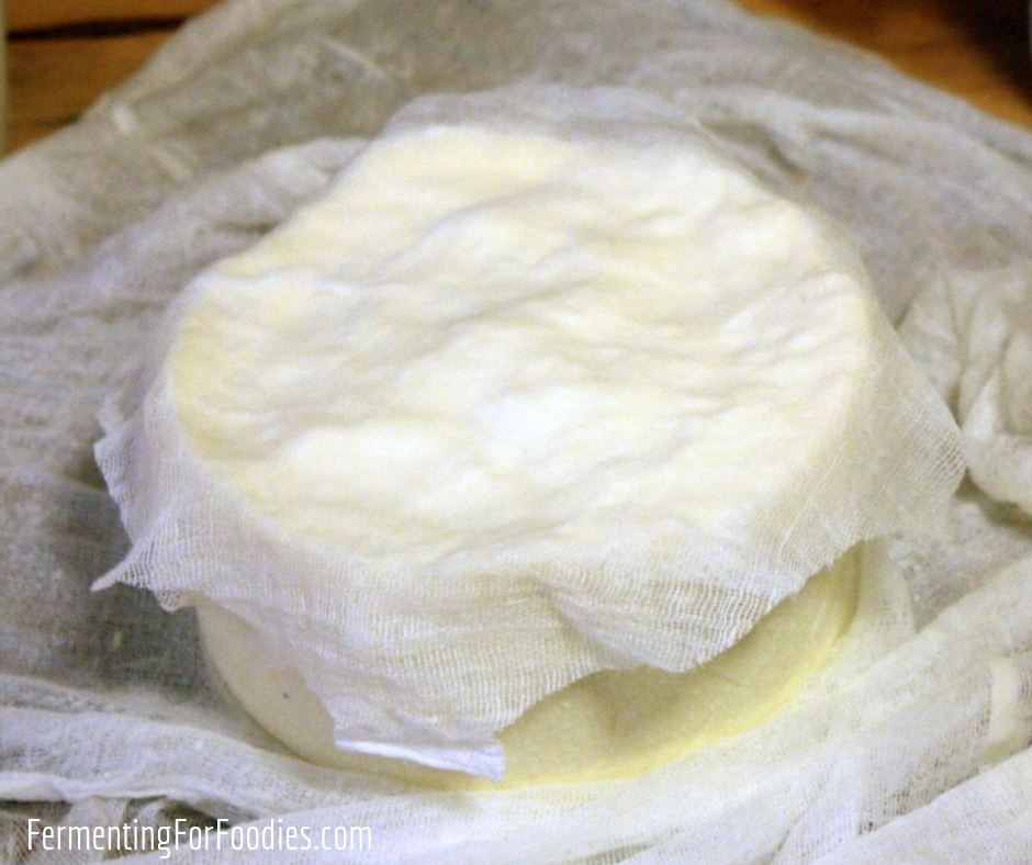 Aging hard cheese - DIY cheesemaking