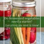 Fermented vegetable starter - when you need them and what to use