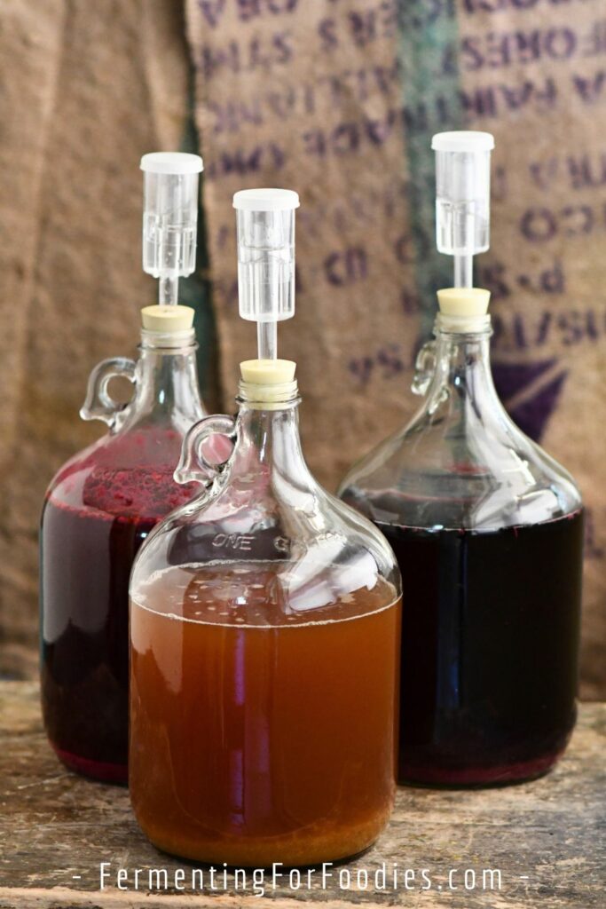 Three types of homemade wine in carboys