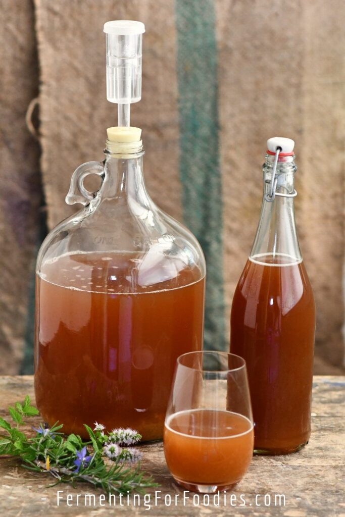 Carboy, bottle, and plum cider