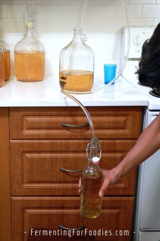 How to make wine and cider with this step-by-step guide
