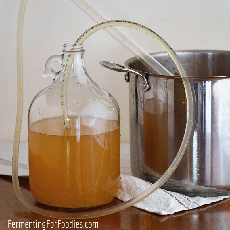 A simple guide to homemade wine and cider