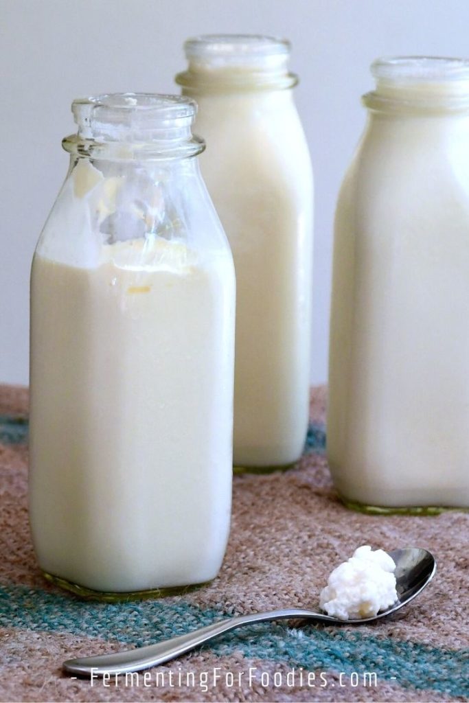 How to take care of milk kefir grains