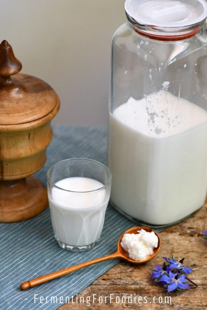 Milk kefir grains and a glass of kefir with traditional Doukhobor wooden carvings.