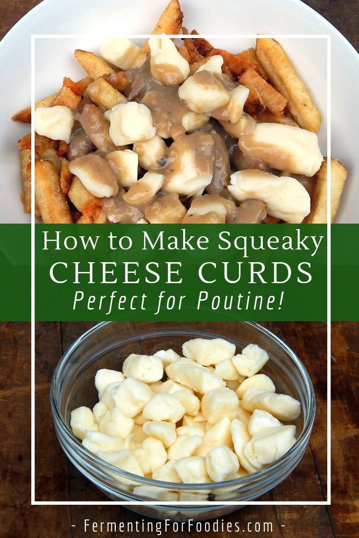 How to make snacking cheese curds - a simple cooked curd cheese