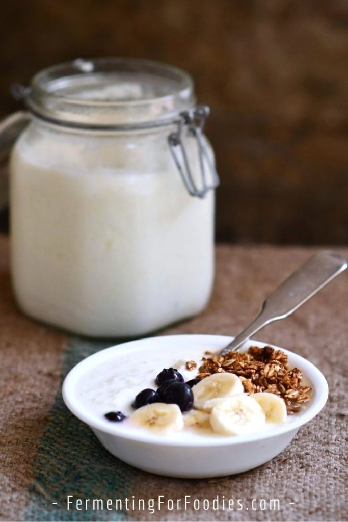 How to make yogurt using grocery store yogurt as a culture