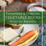 Simple fermented vegetable sticks are perfect for beginners!