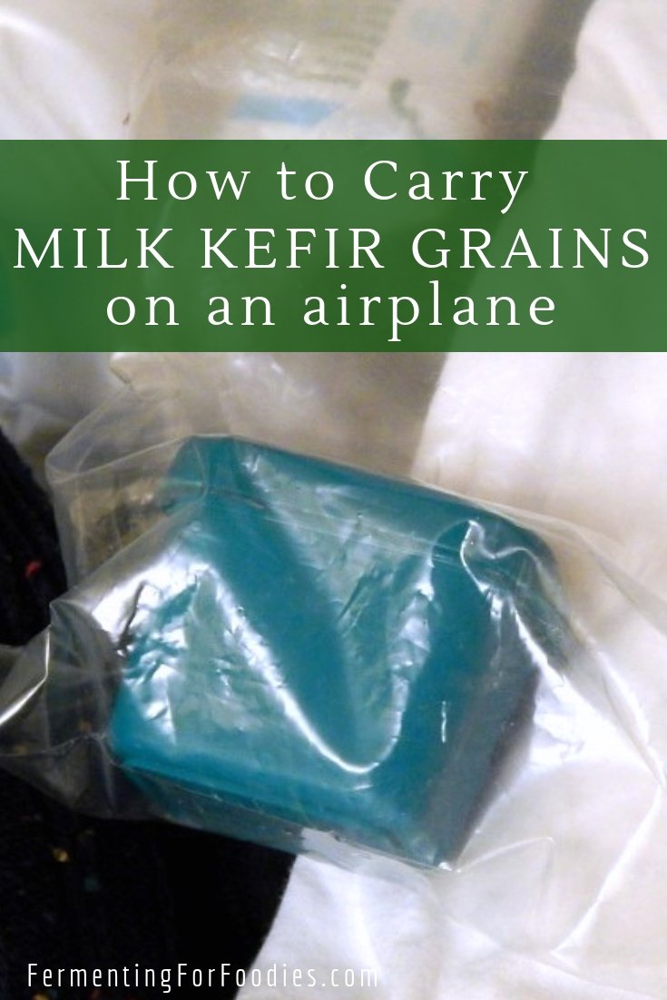 How to travel with milk kefir grains fermentation for holidays!