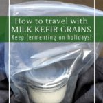 Why I like to travel with milk kefir grains.