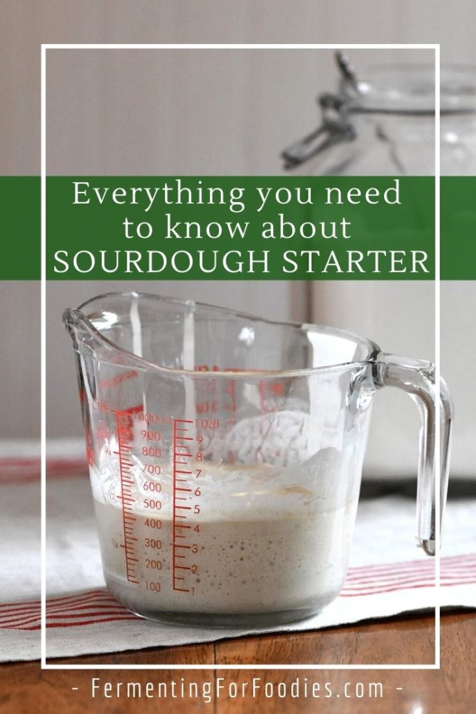 How to avoid sourdough discard and other tips and tricks