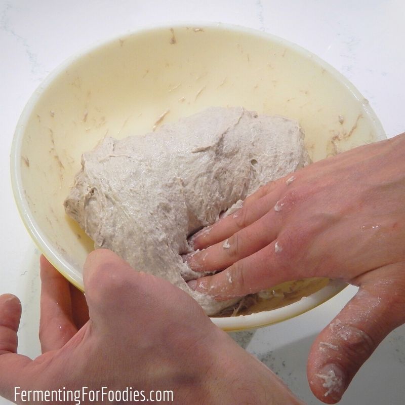 How to fold sourdough bread