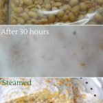 Homemade soy bean tempeh is creamy, nutty and delicious