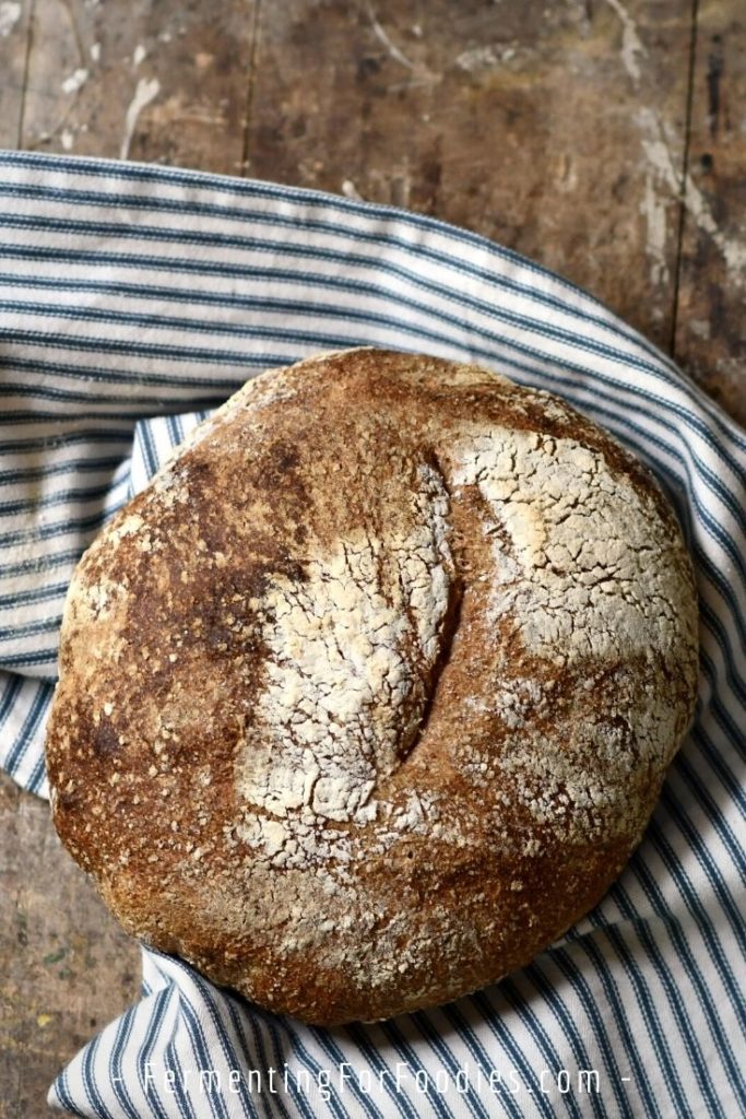 No-knead whole grain sourdough bread