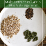 All grain or malt extract homebrewing ingredients