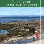 How to boost your immune system