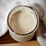 How to create and feed a gluten-free sourdough starter.