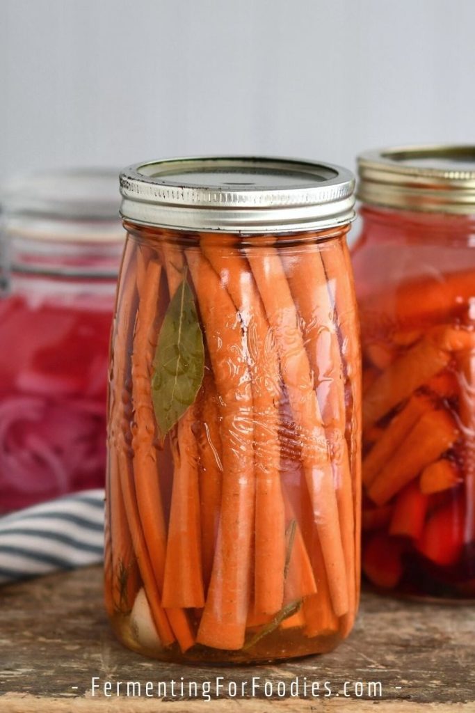 10 different flavors of fermented carrot sticks