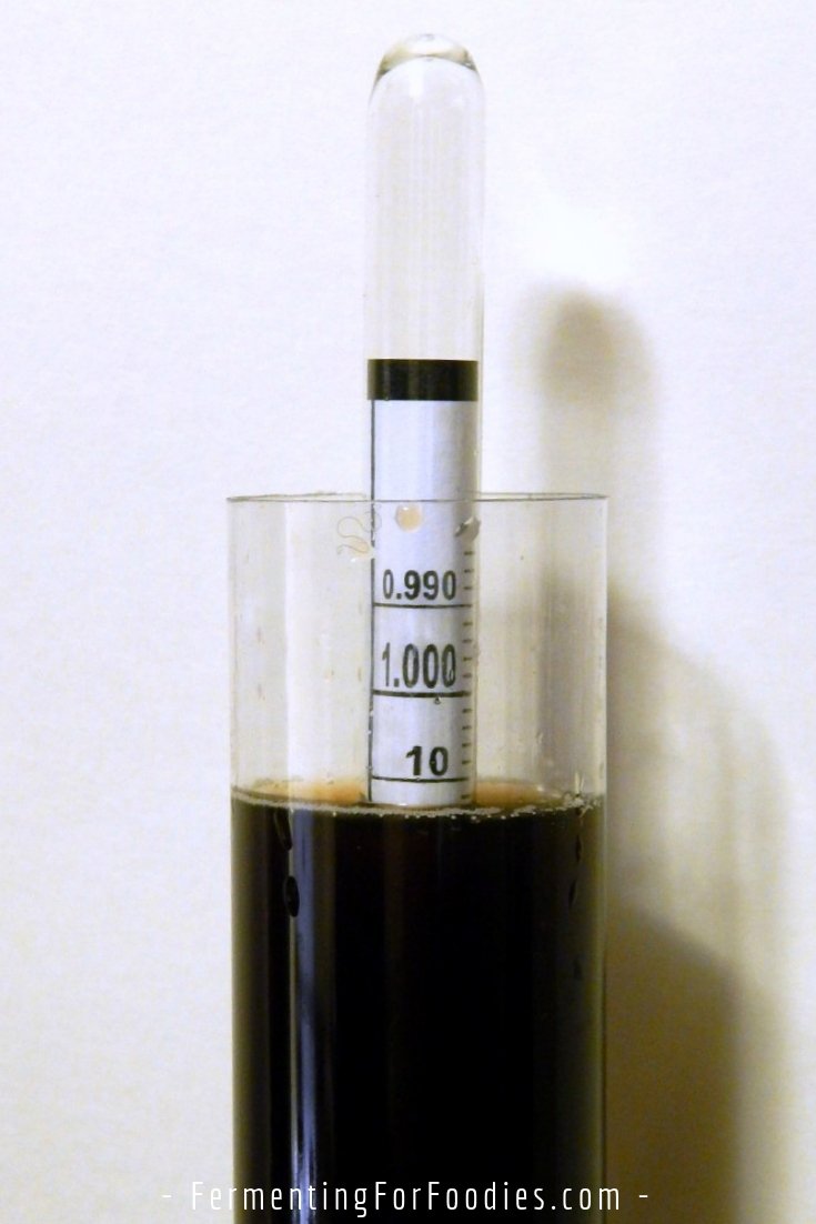 How to use a hydrometer for homebrewing and homemade wine
