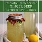 How to brew an old-fashioned homemade ginger beer with probiotic ginger bug.