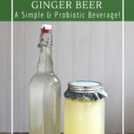 Homemade ginger beer is a zero-waste option to sodas