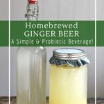 Homemade ginger beer is a simple probiotic soda pop