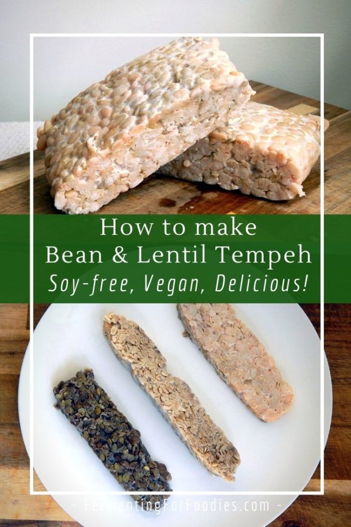 How to make soy-free tempeh with beans, chickpeas or lentils. Try black bean tempeh or navy bean tempeh!