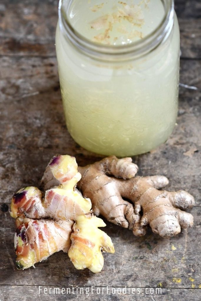 Why homemade ginger beer is better than kombucha or water kefir