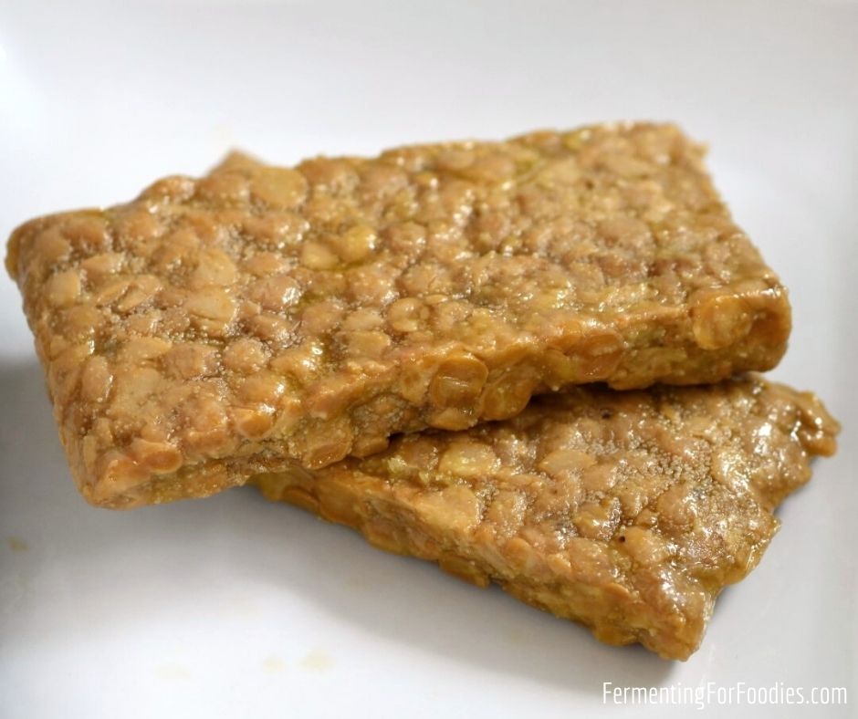 Lentil, chickpea or bean tempeh for a delicious gluten-free, soy-free, nut-free vegan protein