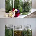 How to use herb infusions to flavor kombucha and water kefir